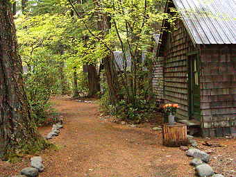 Flowers set out near the cabins