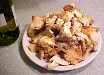 Cantharellus subalbidus