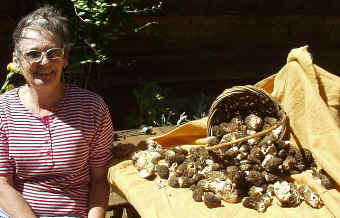 the Stash of morels