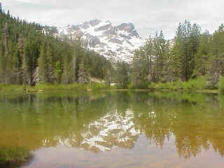 The Sand Pond